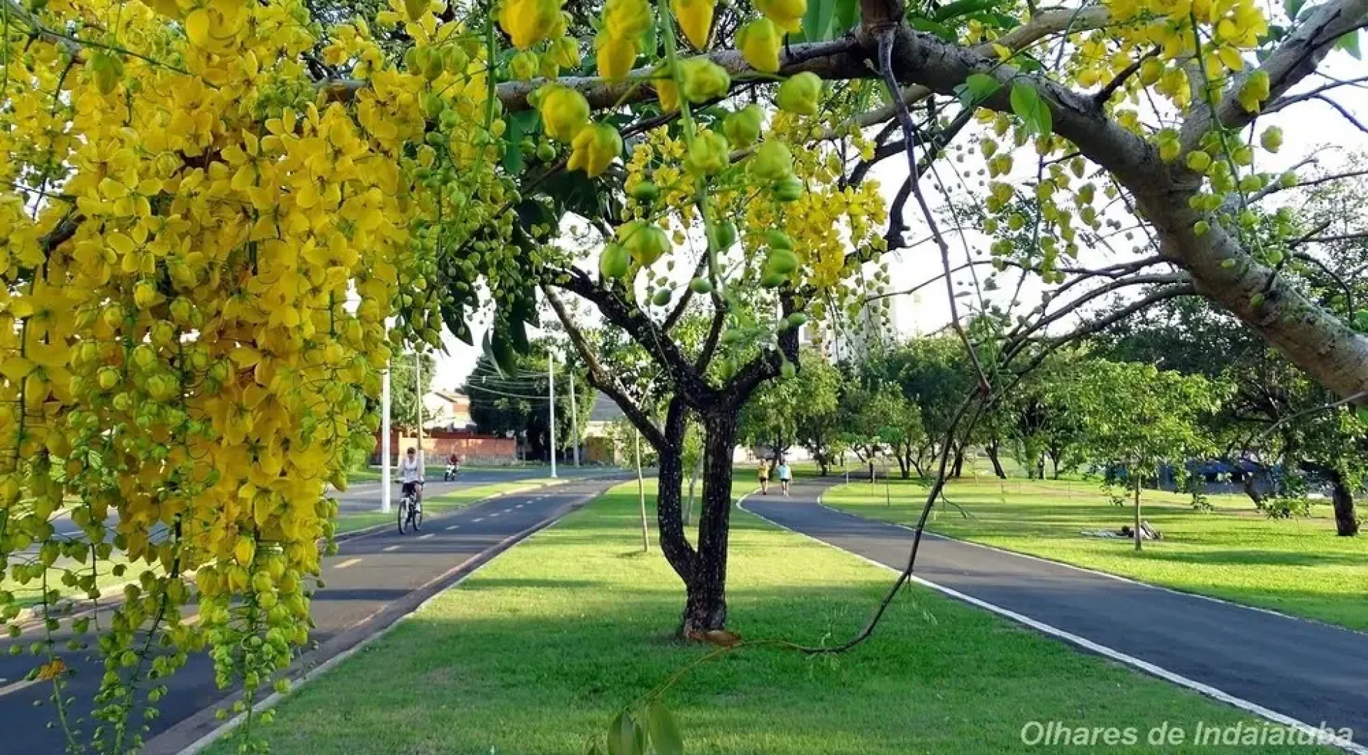 Pousada Hostel Brasil Indaiatuba Sp