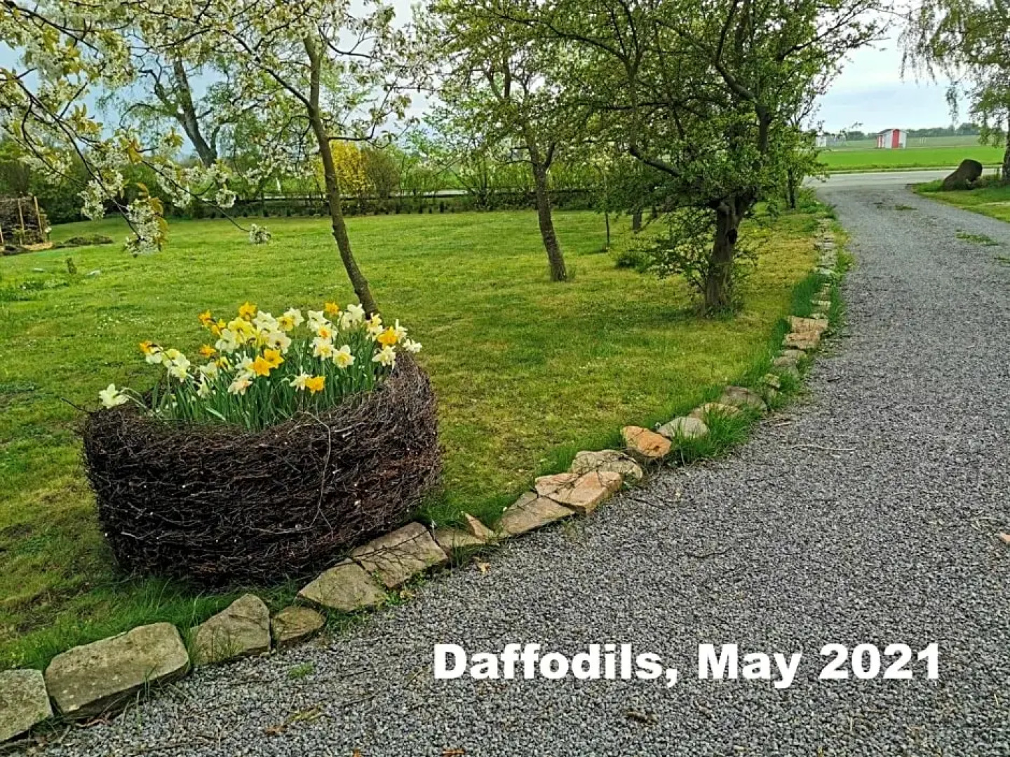 The FIG Studio - "Den Gule Svane" Guest House - near Rønne & Beach