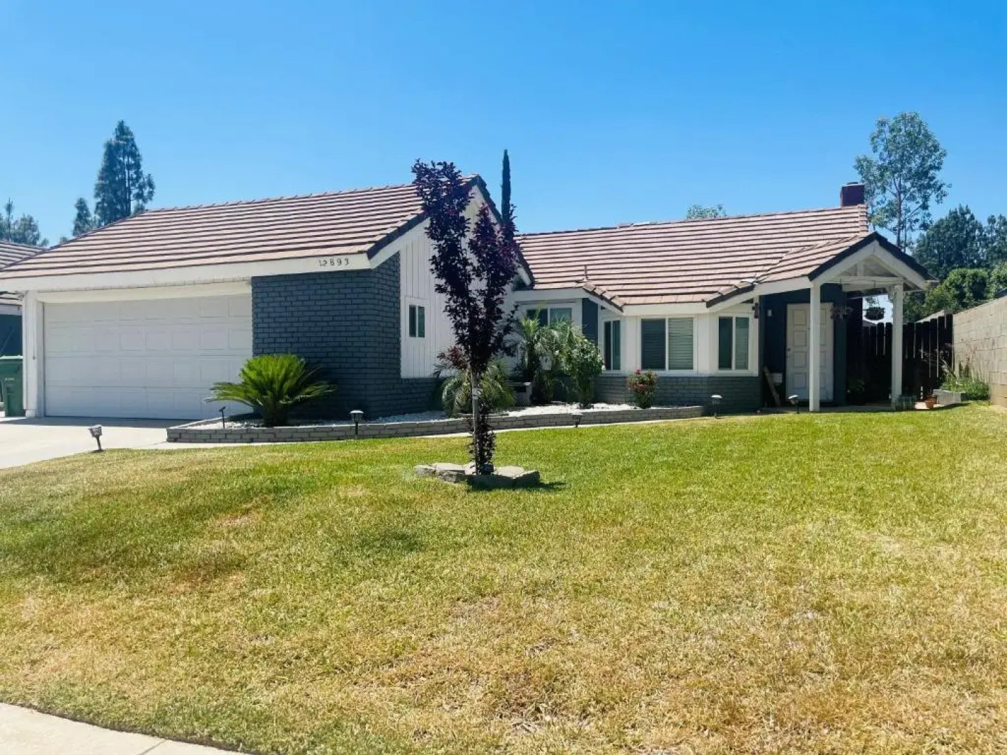 Spacious Studio with Private Entry