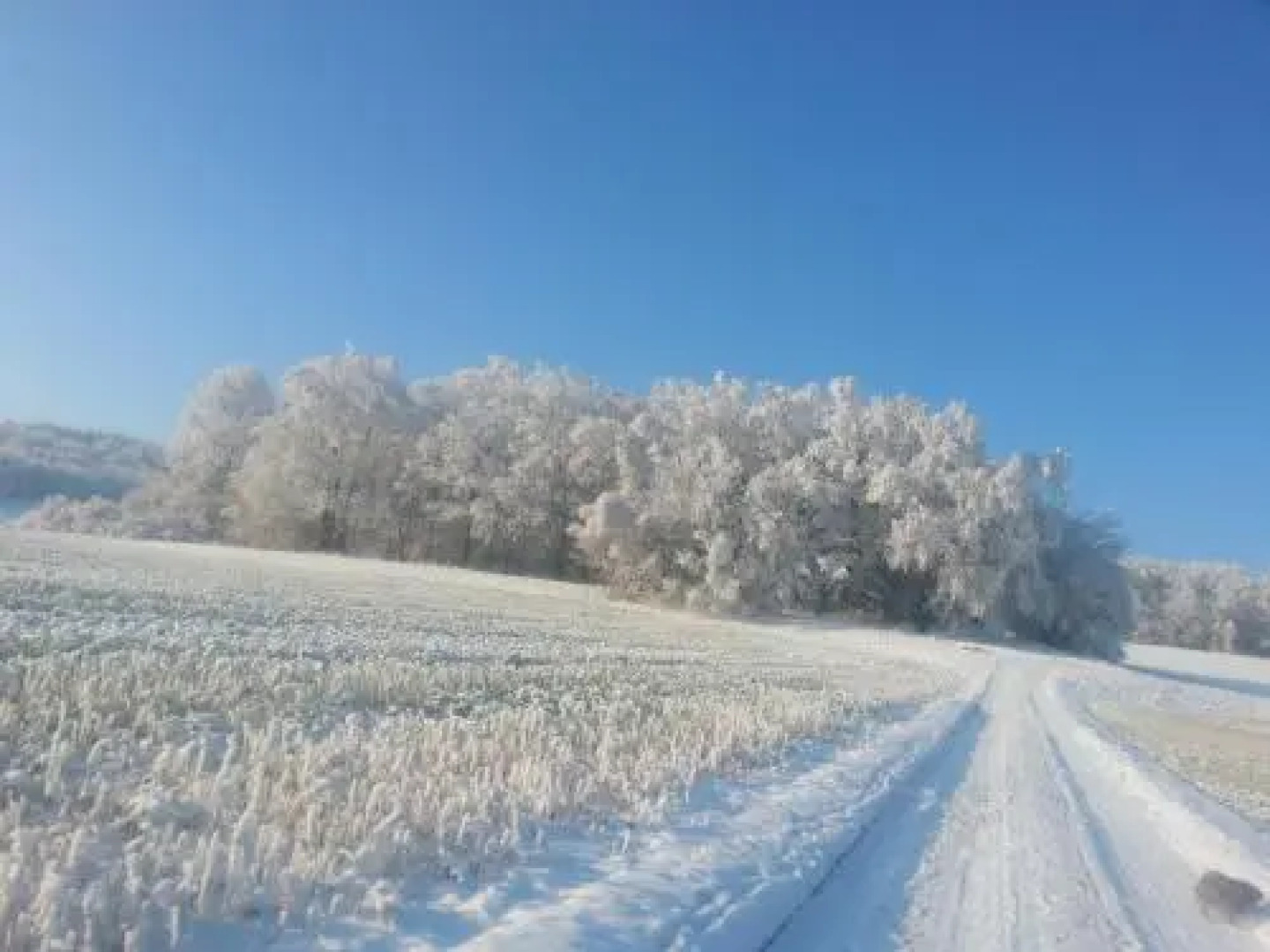 Apartment am Bieleboh