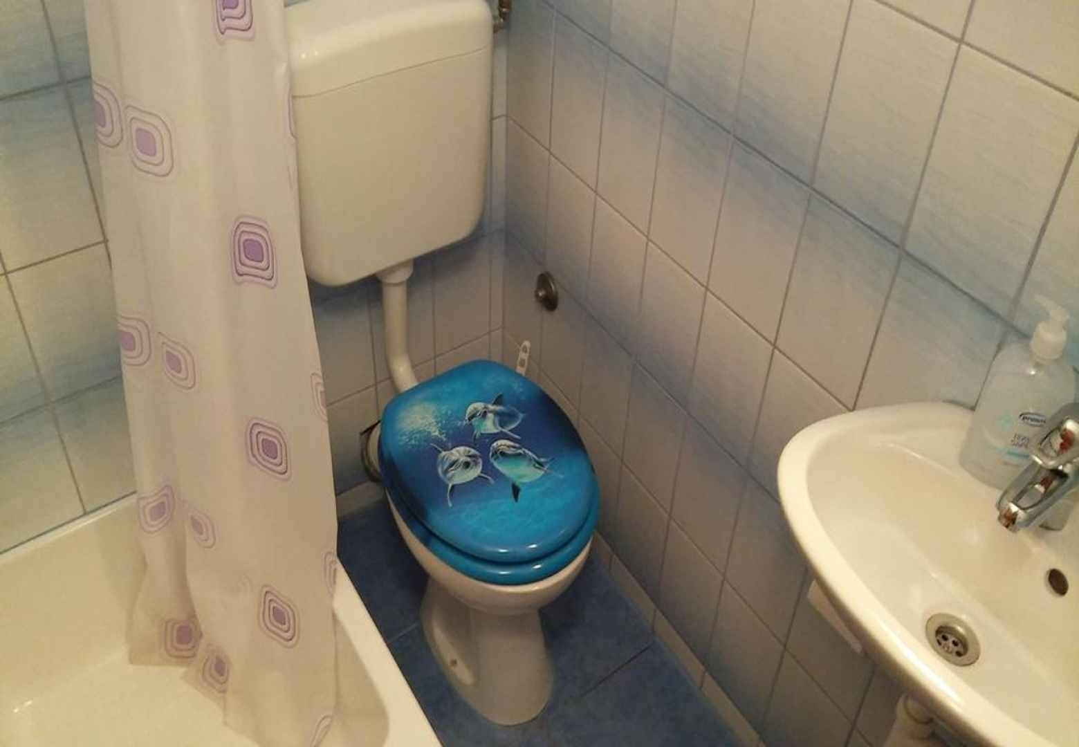 Apartment Igor - near center: A3-Pharos Stari Grad, Island Hvar