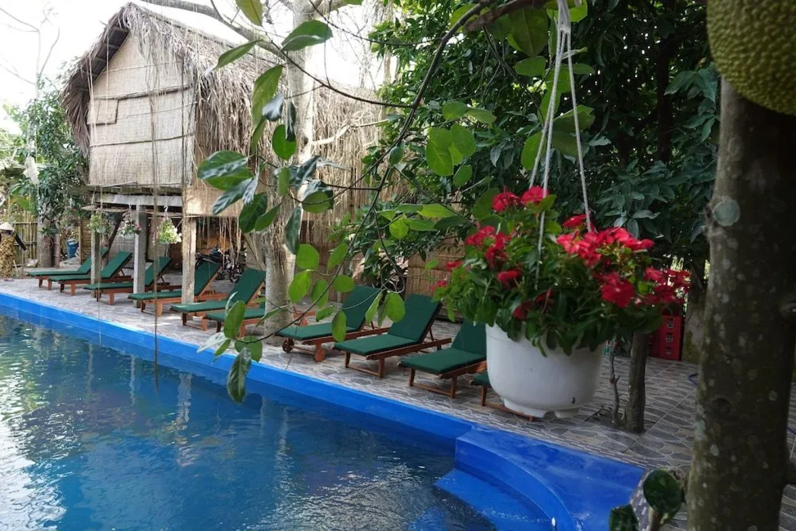 Nguyen Shack Can Tho