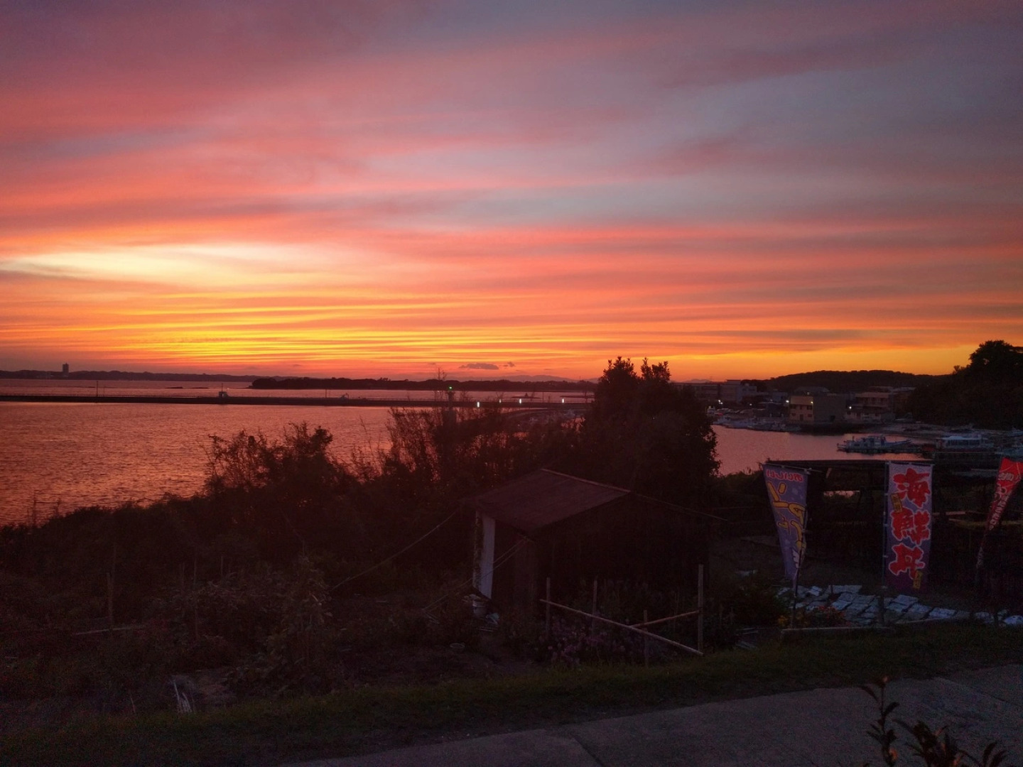 Minsuyku Sazanami (Sakushima)