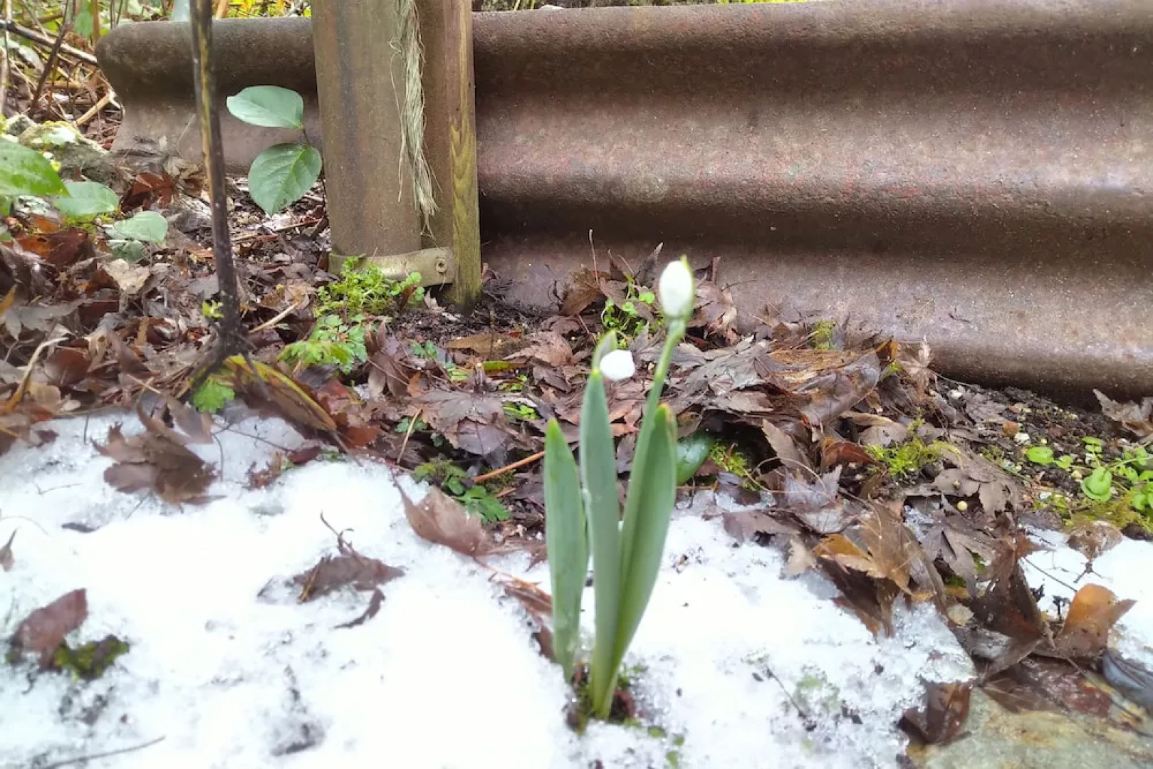 The Cabin at Moon Dance