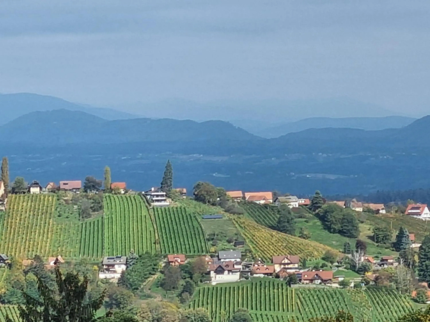 Weinstöckl Hochgrail pures sein