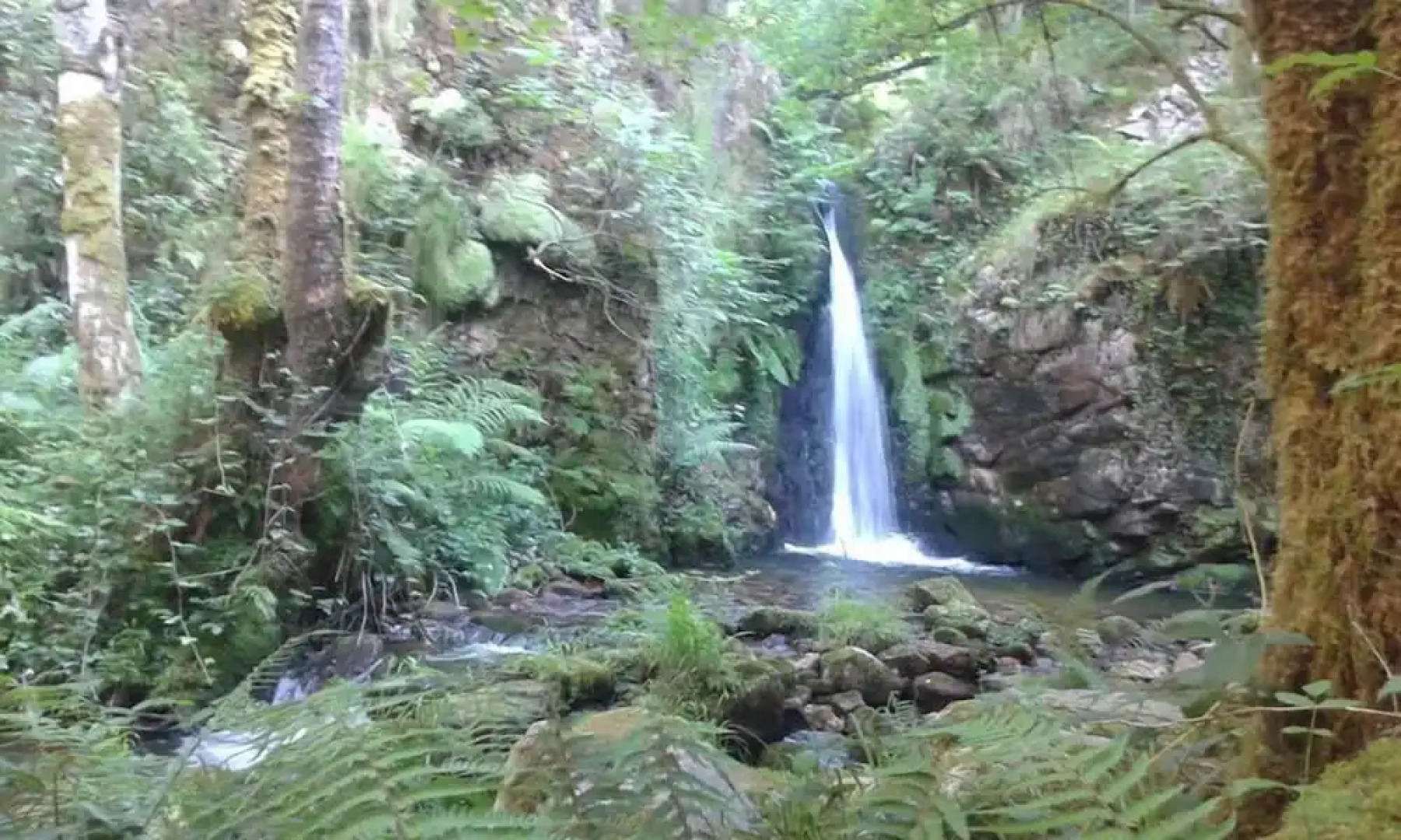 Casona De Miyares - La Figar