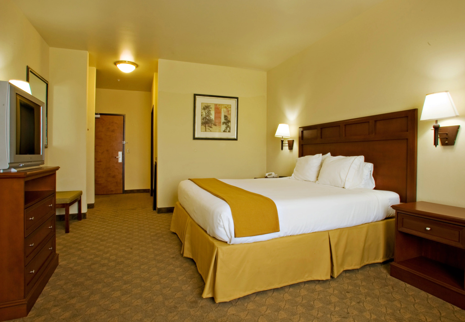 Holiday Inn Express & Suites Levelland by IHG