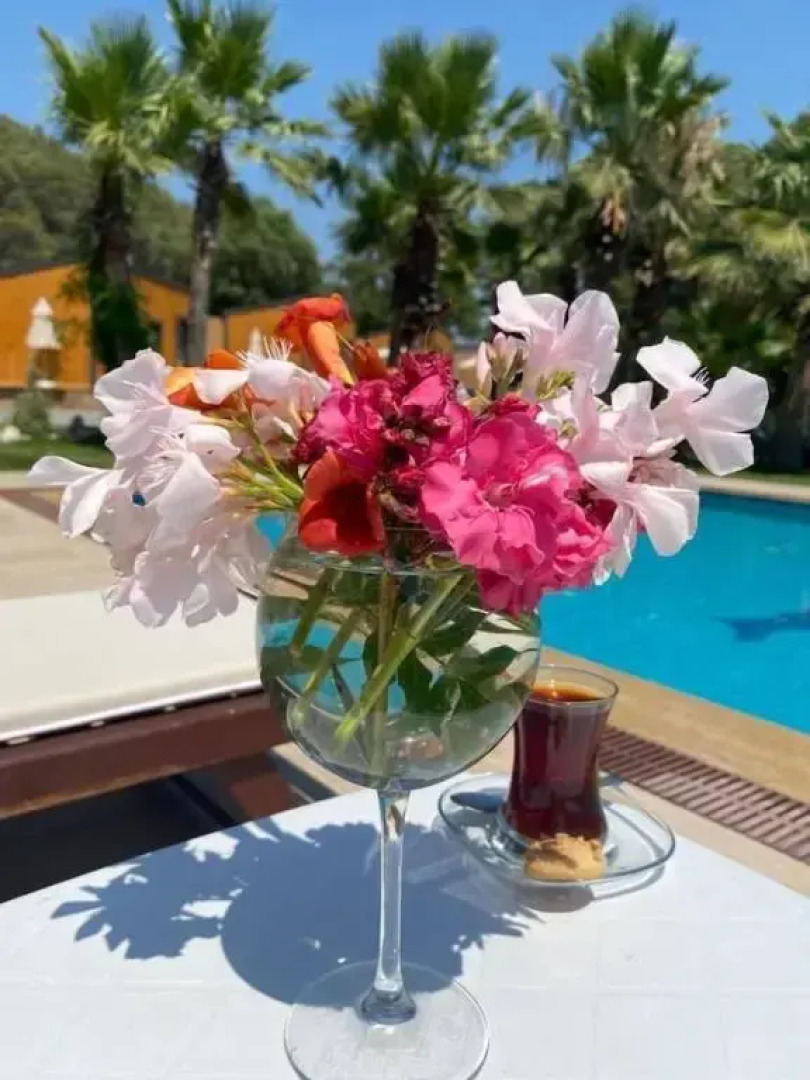 Riverside Gocek Apart Otel Tiny House