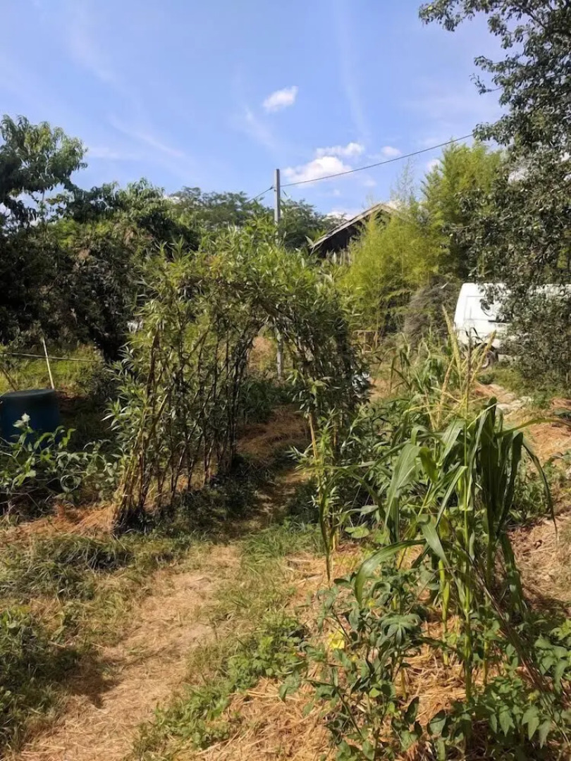 La Piraterie des Galinoux