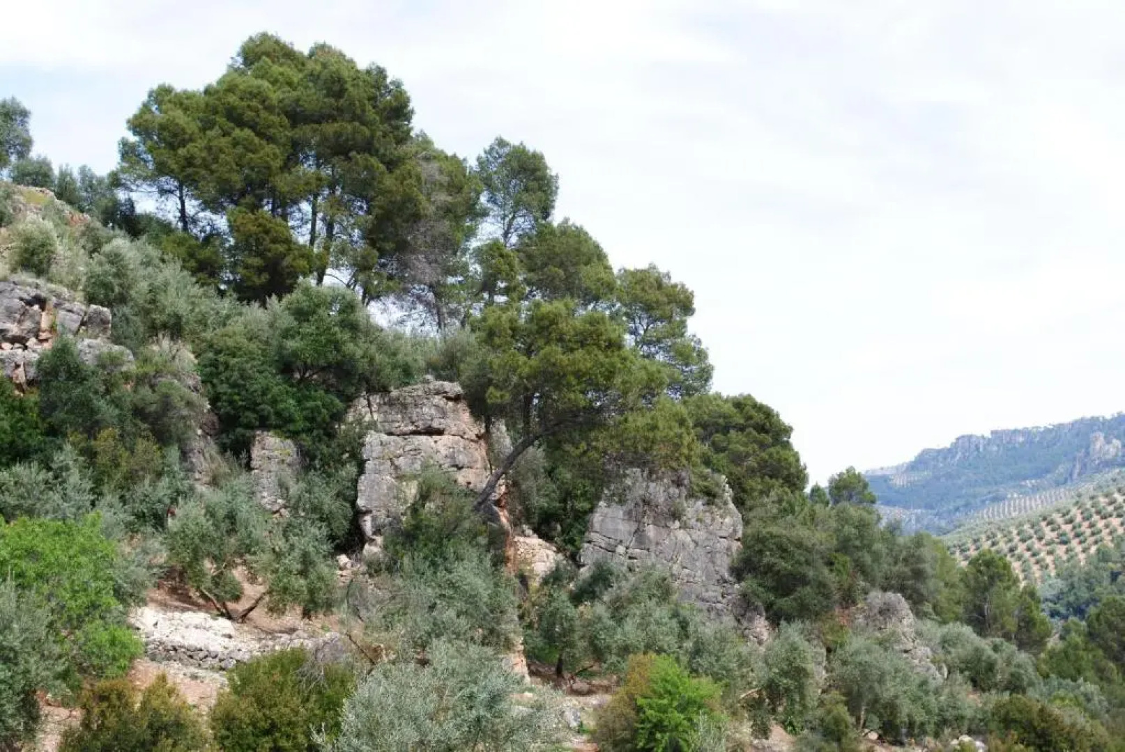 Casa Rural Ruiz Hernando