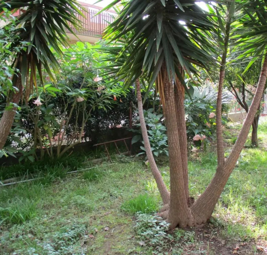 Giardino degli aranci - Resort