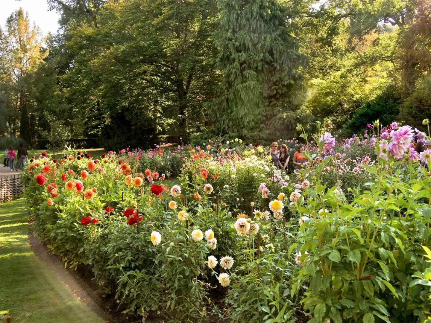 ibis Orléans Centre Gare