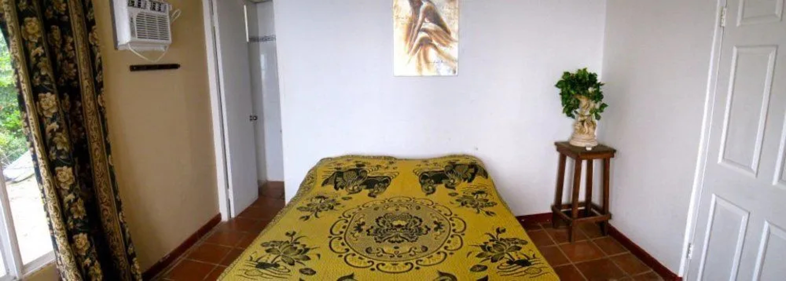 Panama Divers & Octopus Garden Dive Center