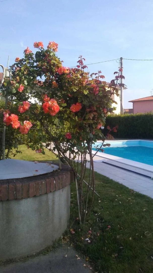 Appartamento Villa Campanile