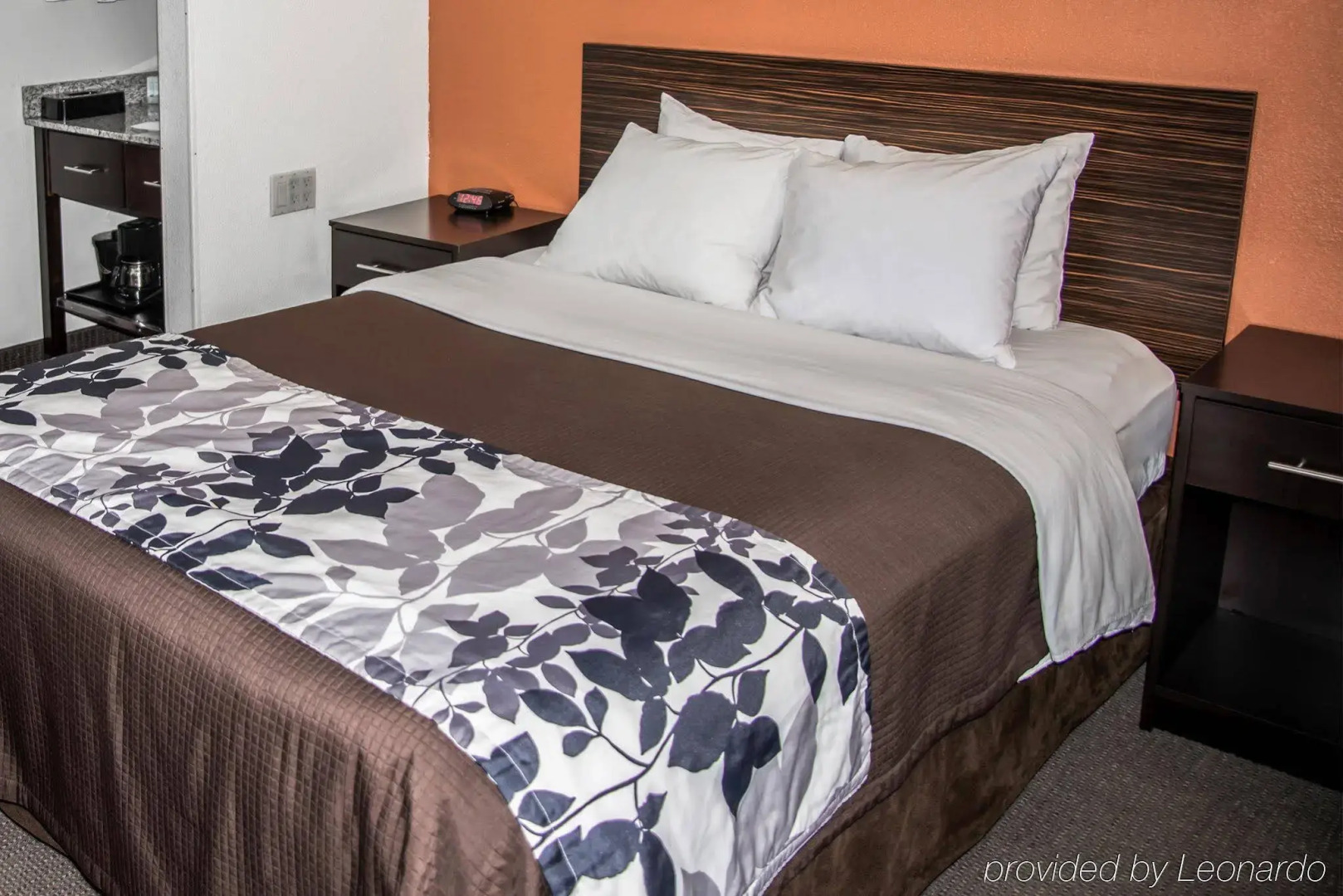 Sleep Inn DeWitt - Lansing North