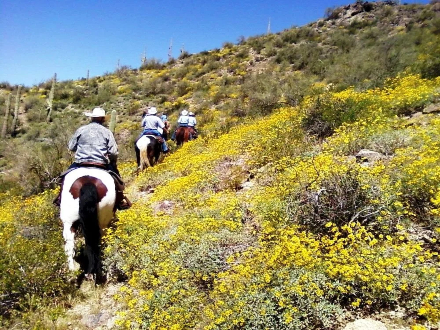 Flying E Ranch