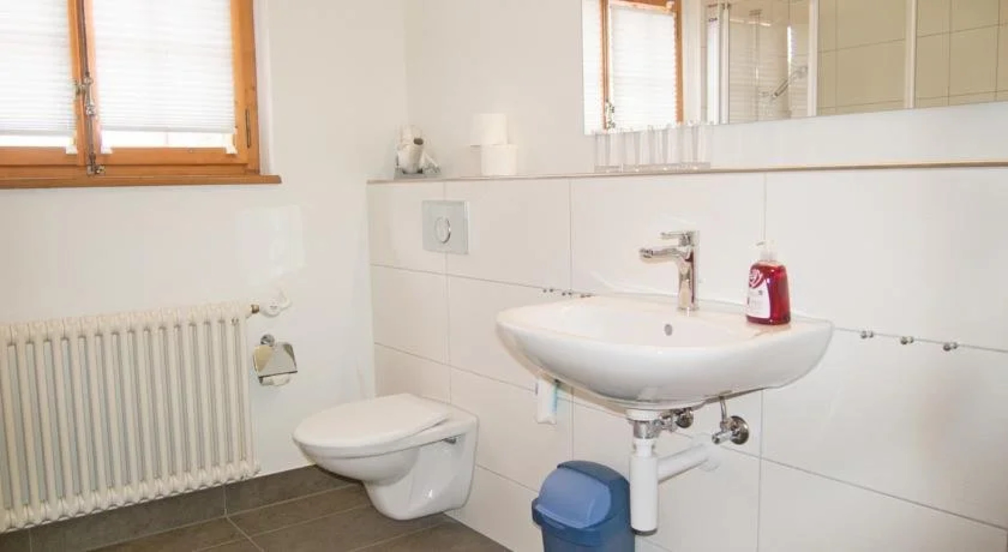 Ferienhaus Baslerdybli