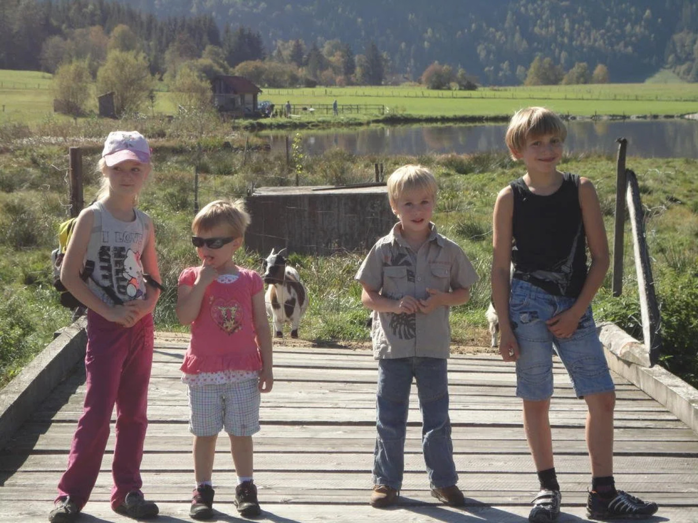 Gasthof Hirschenwirt