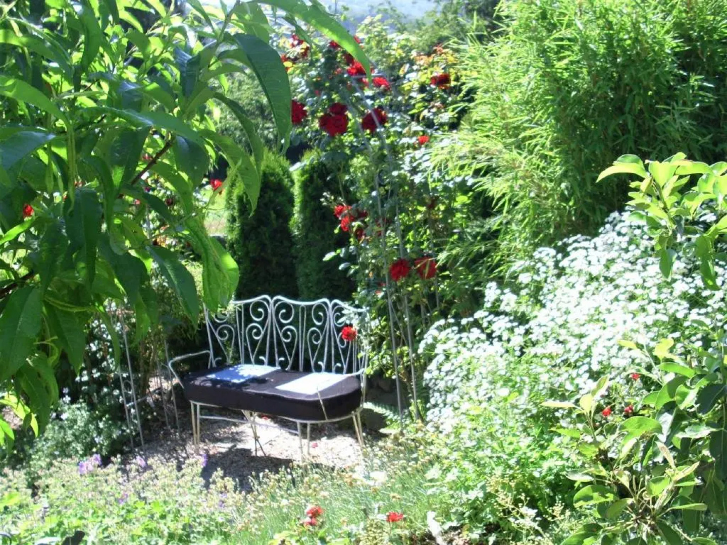 Seniorengerechte Ferienwohnung in Großalmerode