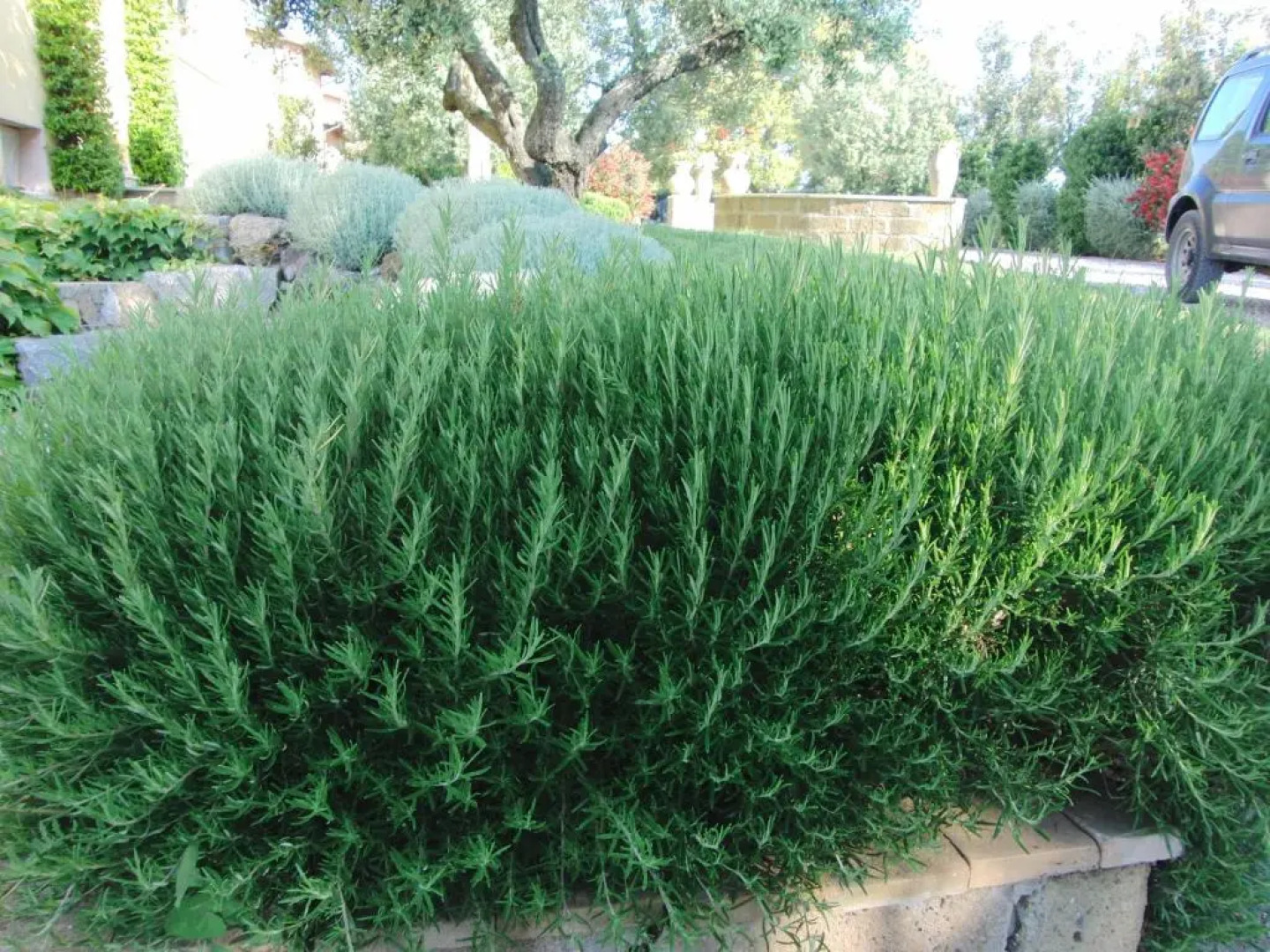 Locanda Degli Etruschi