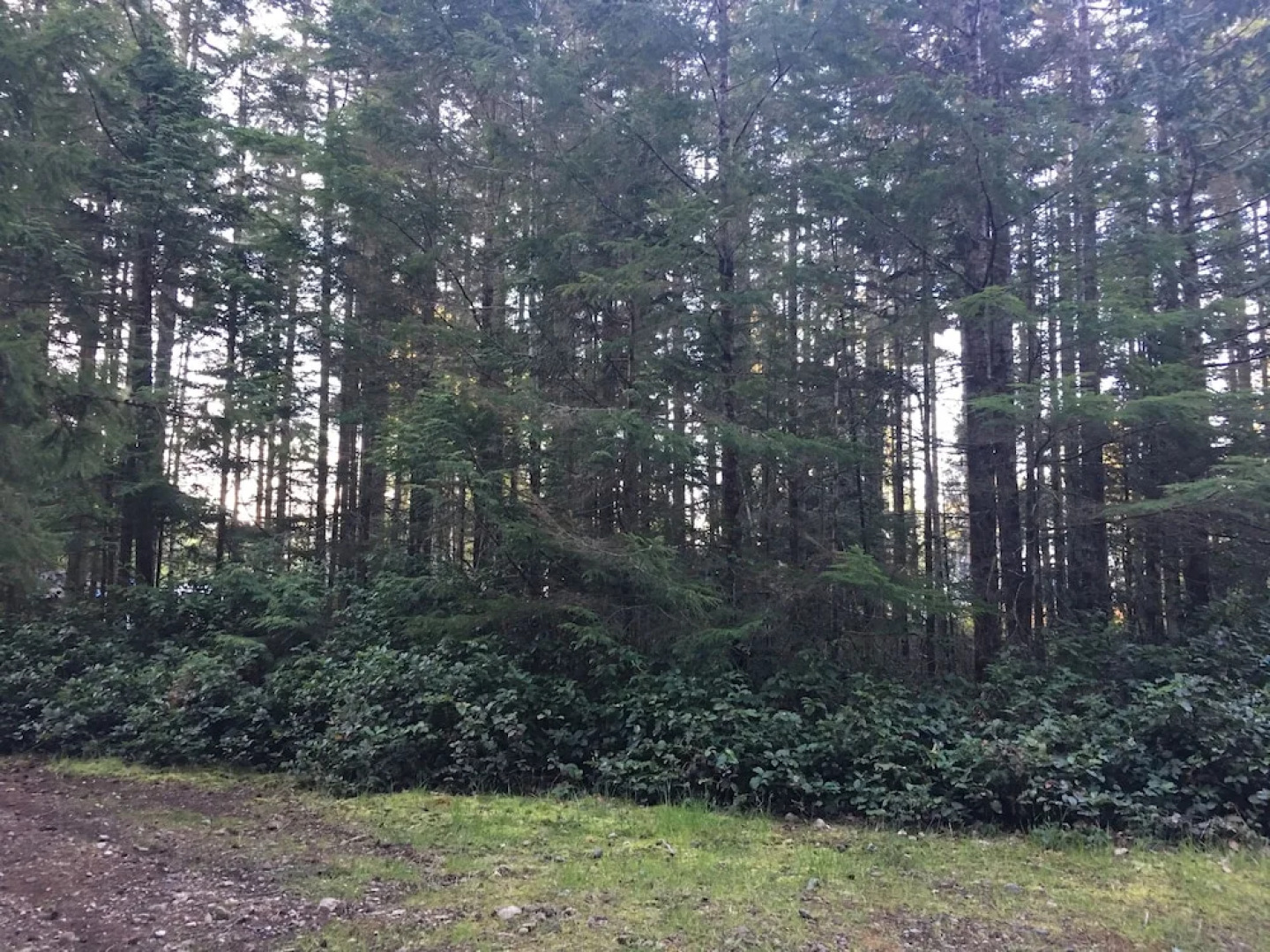 The Great Escape-Shirley with Hot Tub