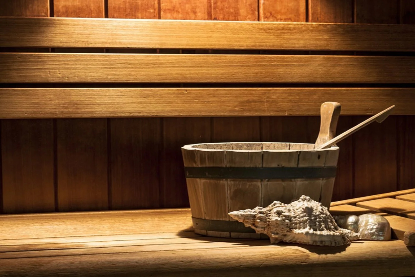 Vidi Miramare & Delfino