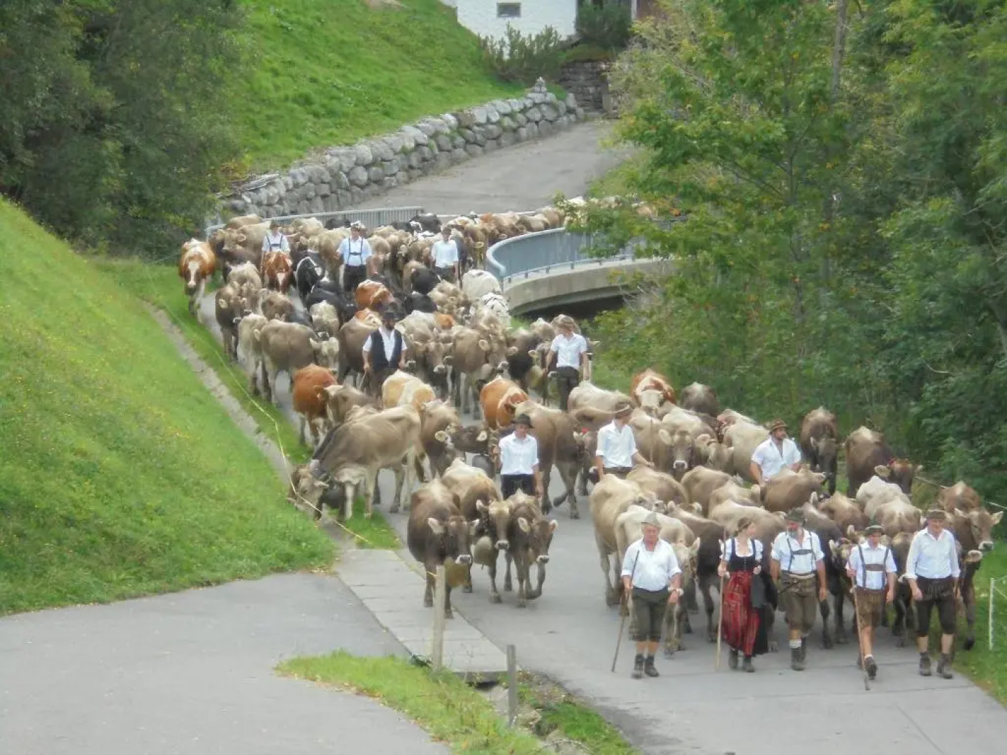 Ferienhaus Nussbaumer