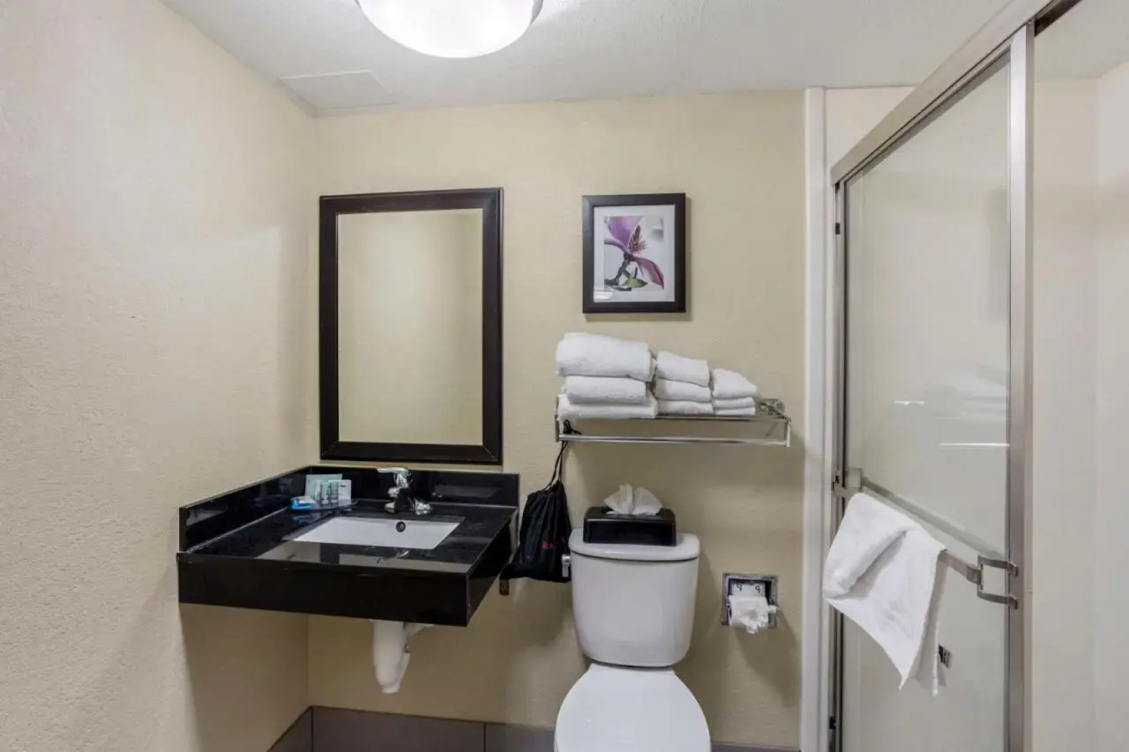 Capital Plaza Inn & Suites Harrisburg