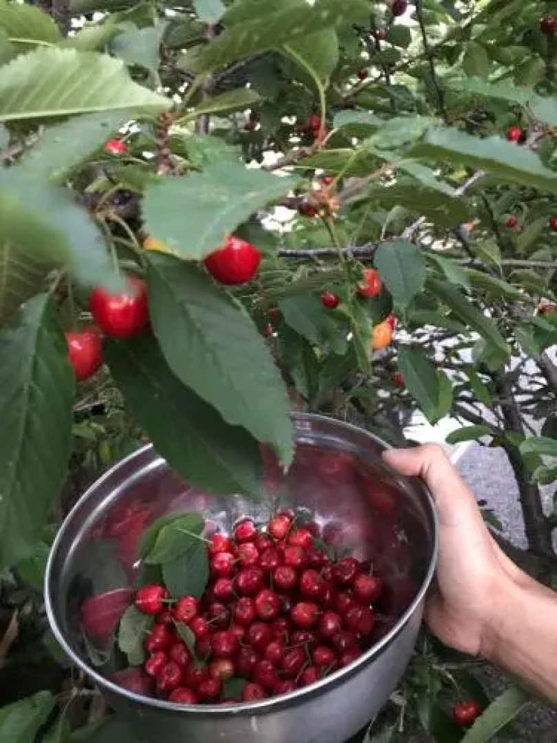 Descanso las Tres Marias