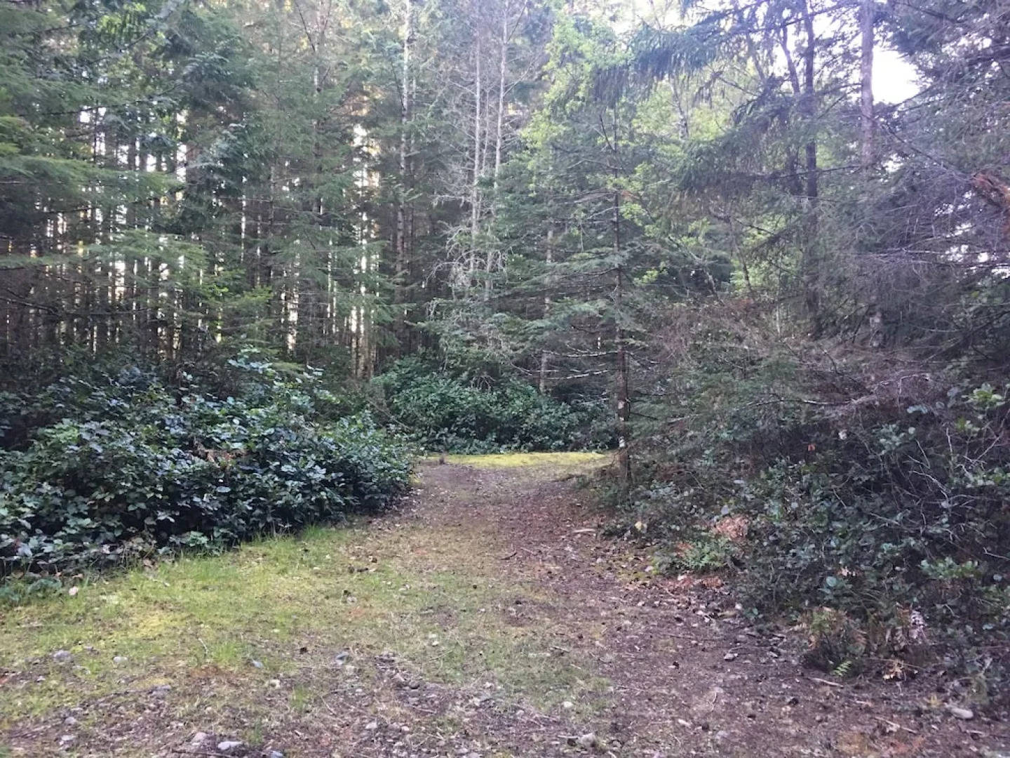 The Great Escape-Shirley with Hot Tub