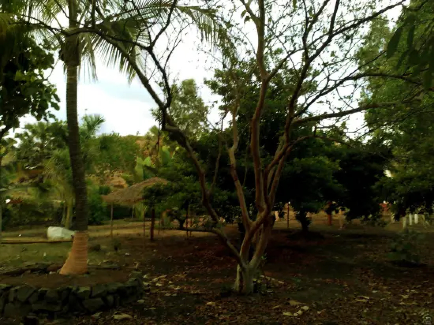 Ecowoods Agrotourism