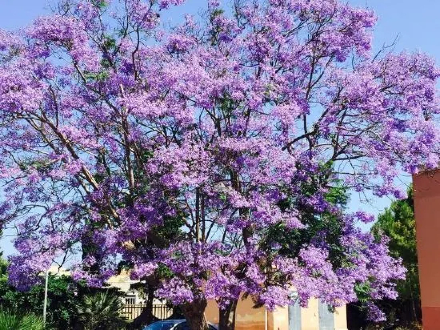 Holiday home Mediterraneo