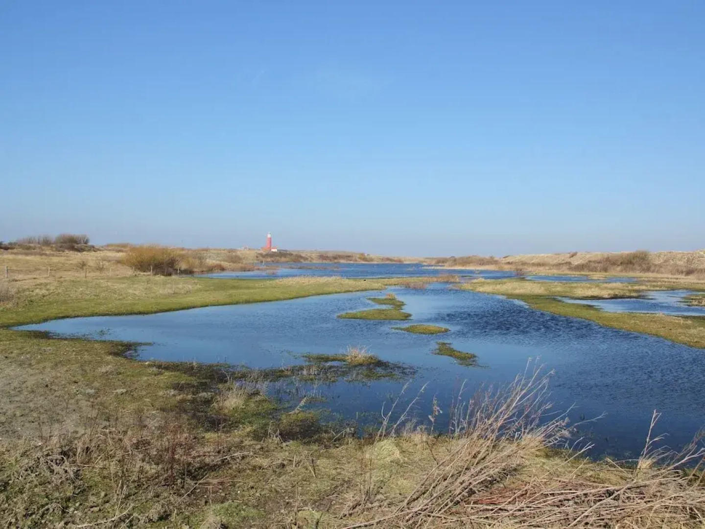 Pet-friendly Texel Escape