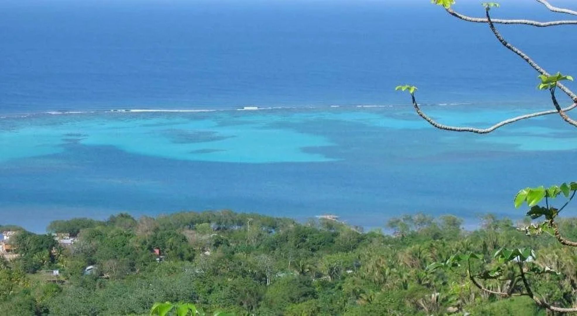 Roatan Bed & Breakfast Apartments