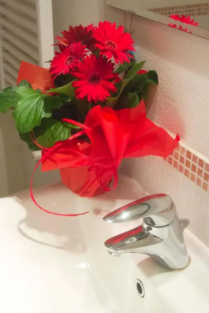 Wine & Lake In Franciacorta