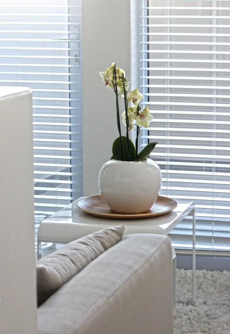 Swakopmund Luxury Suites