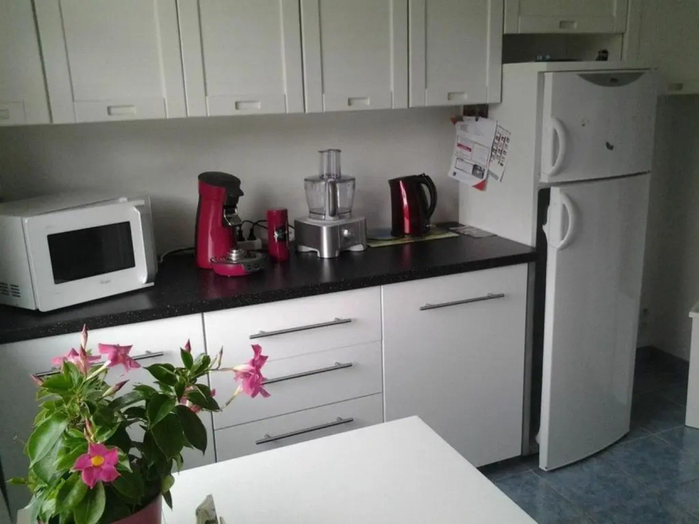 Gîte Angles , 6 pièces, 10 personnes - FR-1-426-150