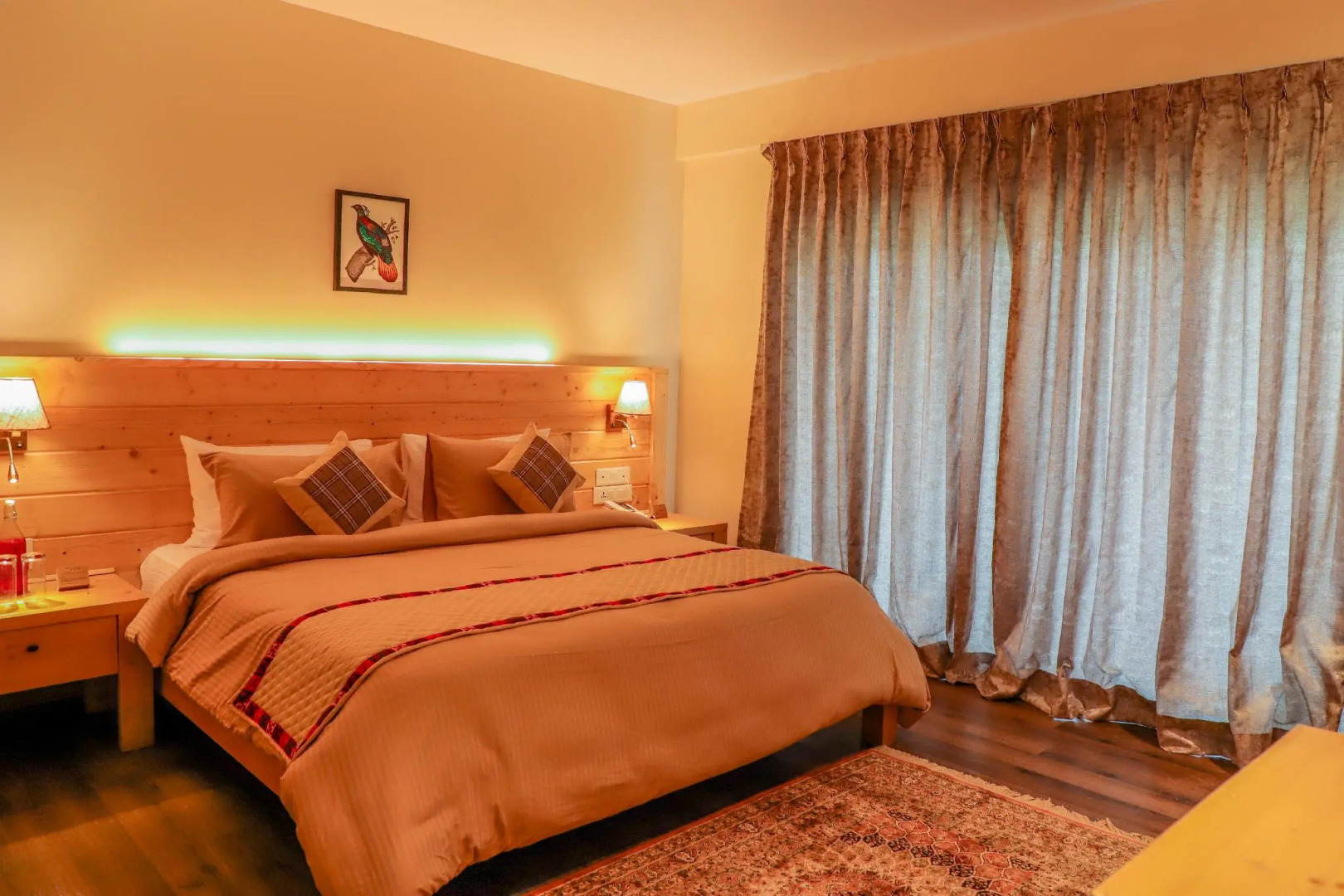 Justa Birding, Dharamshala