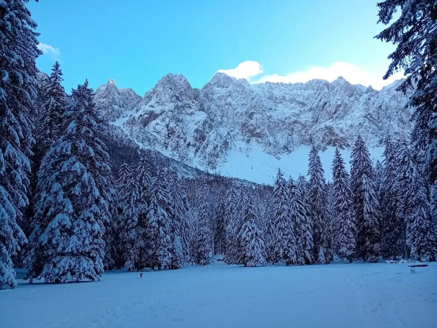 Secluded Apartment in Ferlach near Bodental Ski Lift