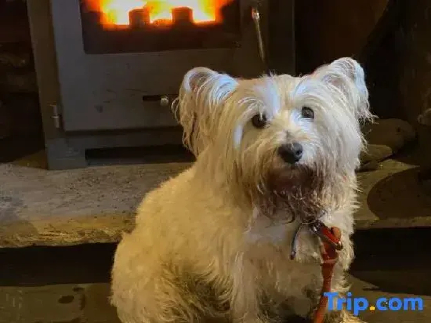 The Moon Inn at Stoney Middleton