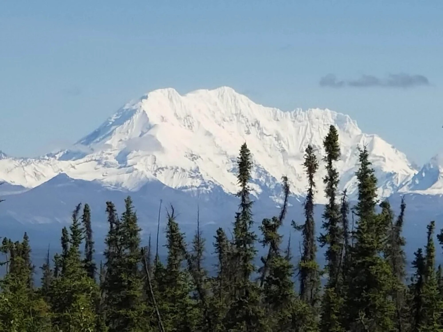 Denali Wild Stay