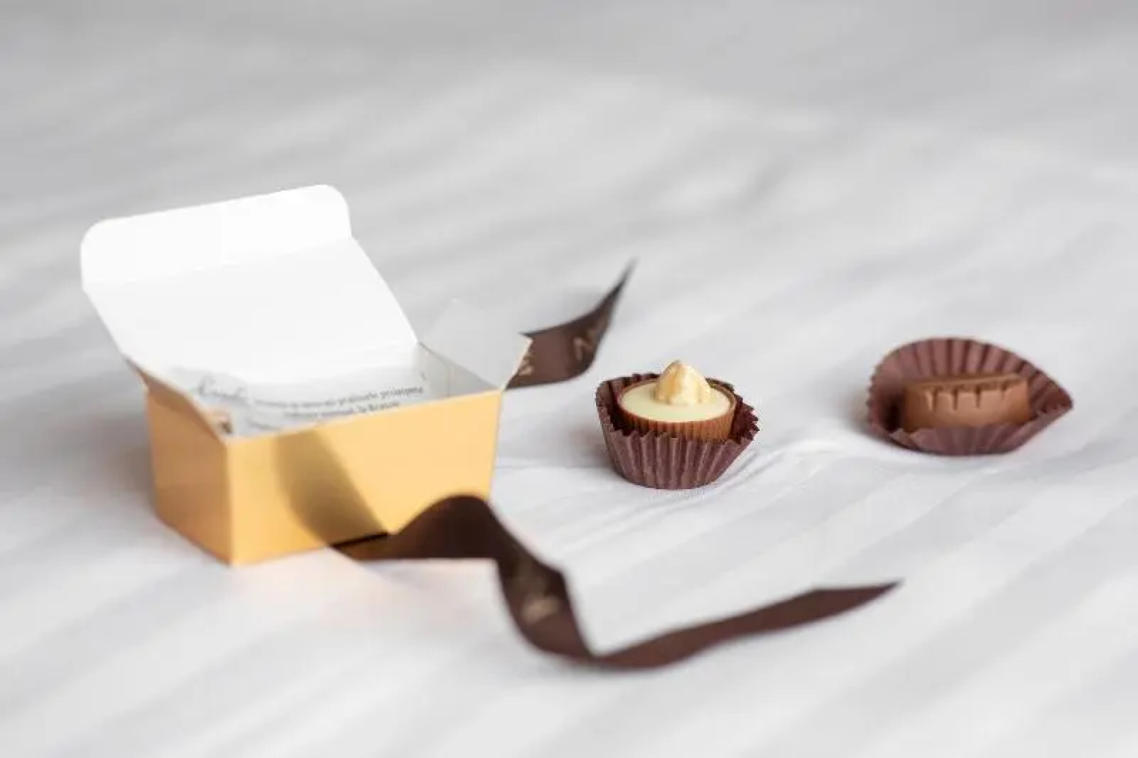 Kanopian Penthouse Hotel