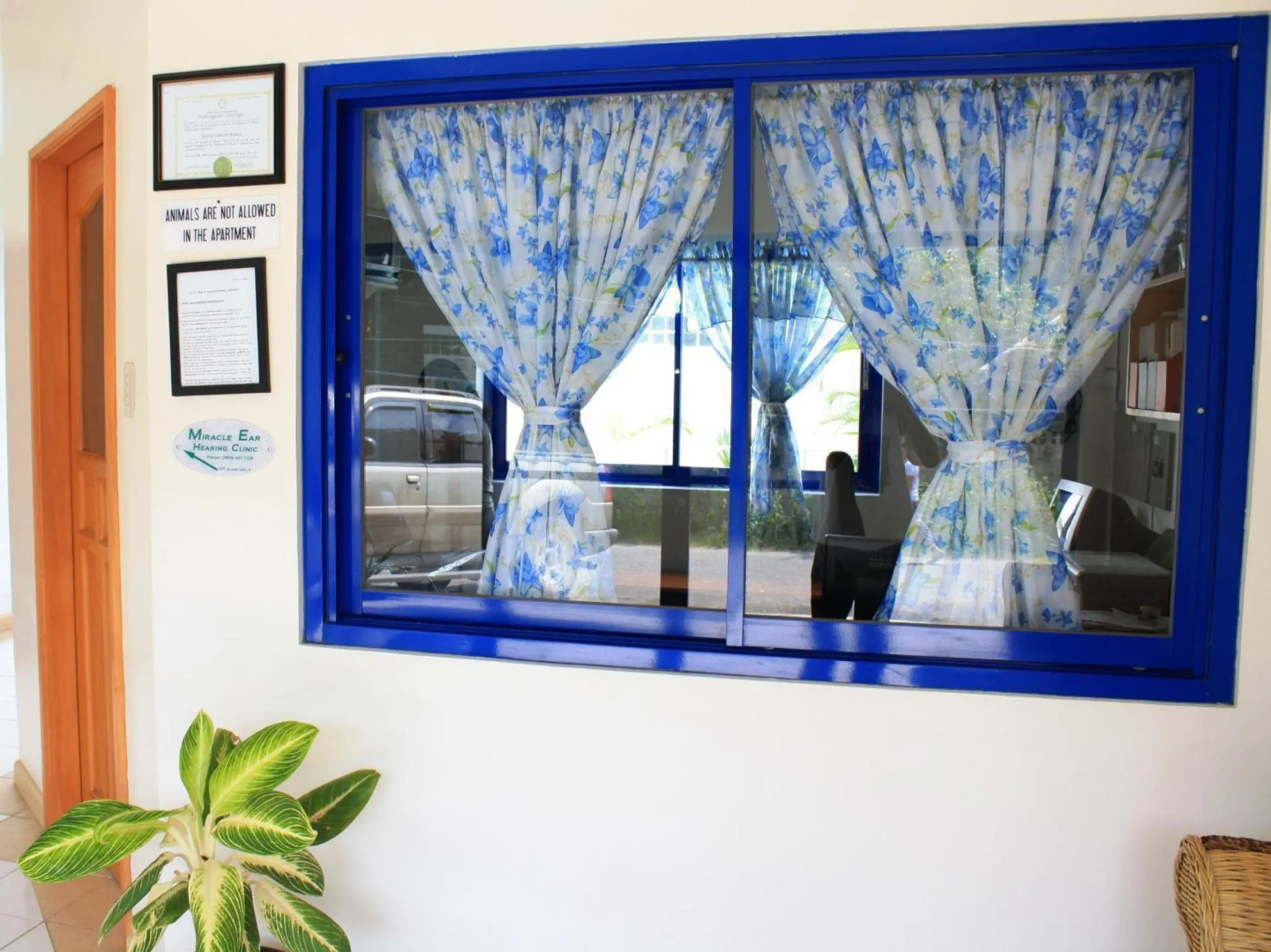 Dumaguete Springs Apartment