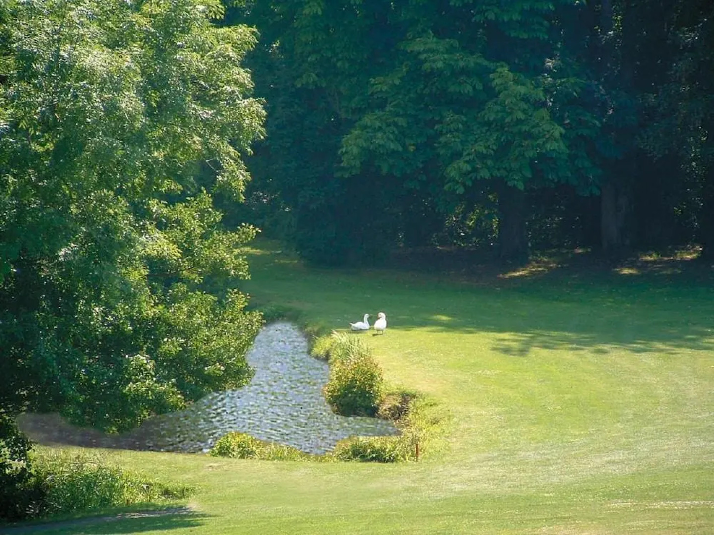 Résidence Lagrange Vacances Les Hauts de Clairvallon
