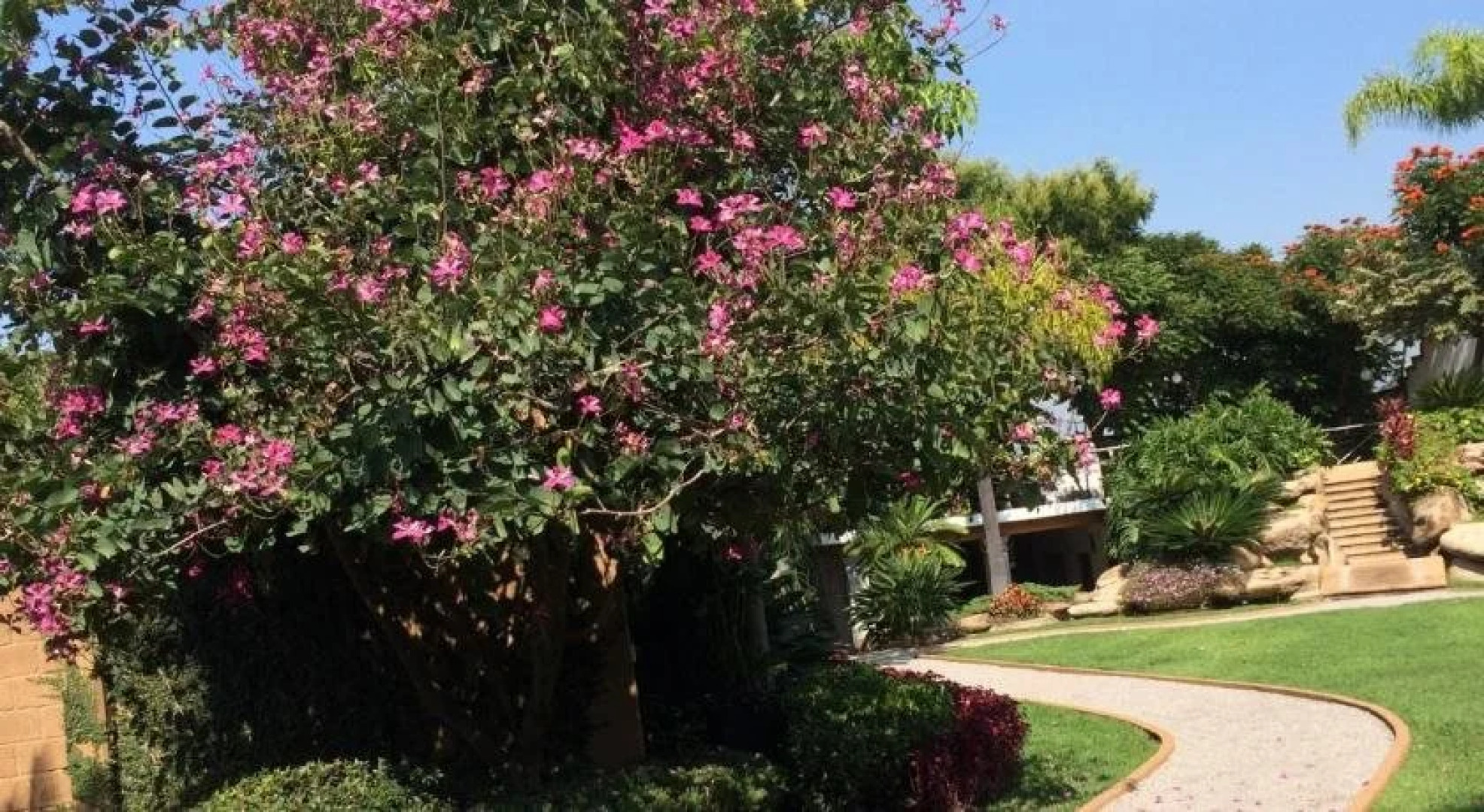 Hotel Exedra Jardin Boutique