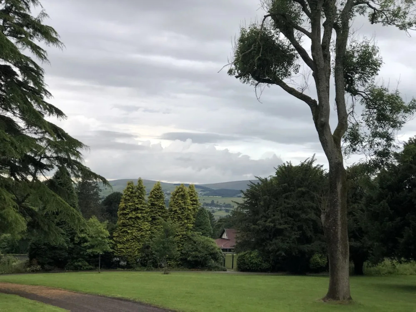 4-bed Detached, Pet Friendly House in Nelson