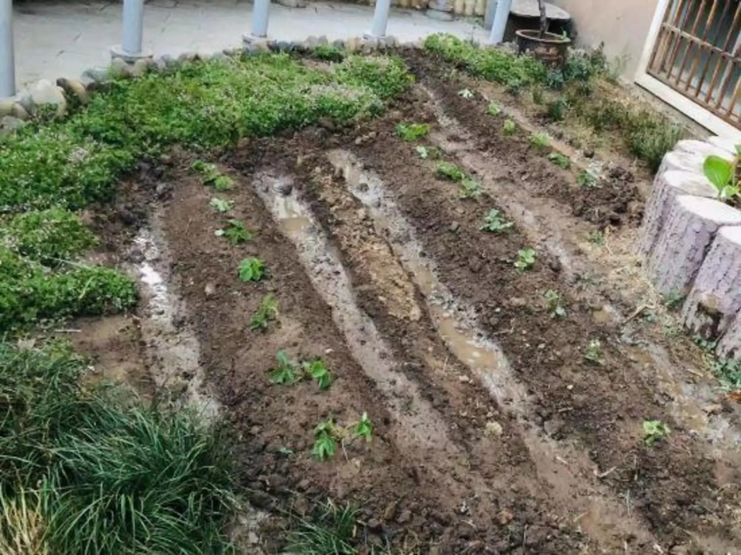 City Impression Business Hotel