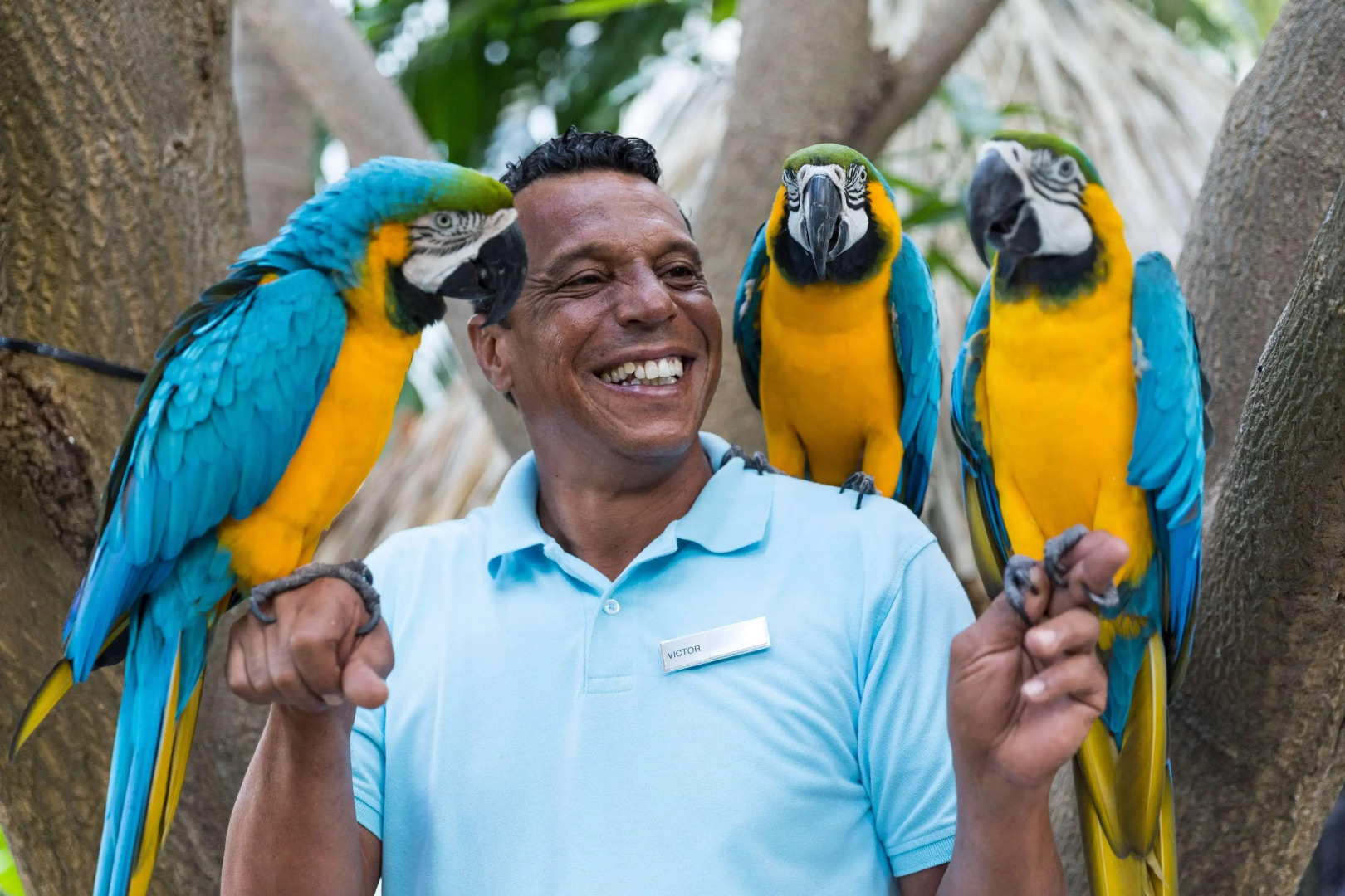 Hilton Aruba Caribbean Resort and Casino