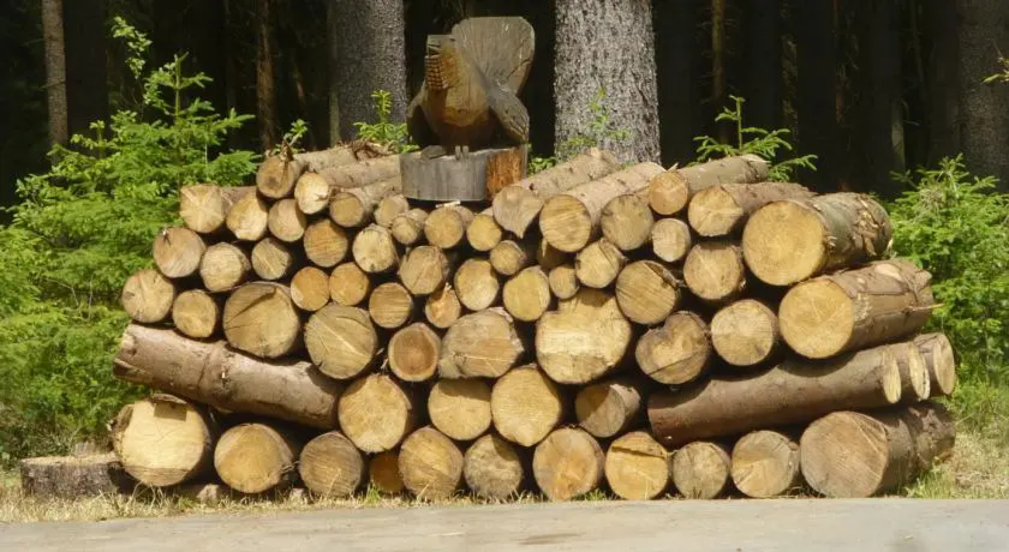 Pension zur Försterei