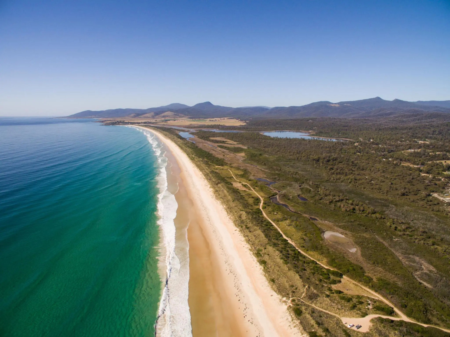 Scamander Sanctuary Holiday Park